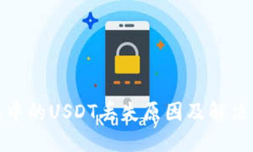 : TP钱包中的USDT丢失原因及解决方案详解