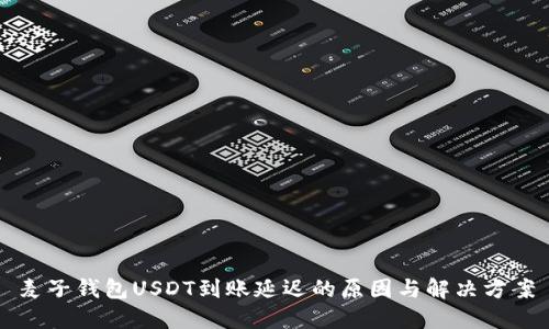 麦子钱包USDT到账延迟的原因与解决方案