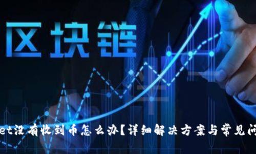 tpWallet没有收到币怎么办？详细解决方案与常见问题解析