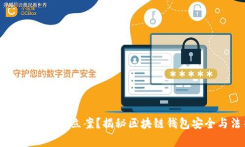 tpWallet被盗能否立案？揭秘区块链钱包安全与法律维权