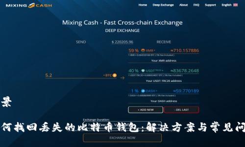 背景  

如何找回丢失的比特币钱包：解决方案与常见问题