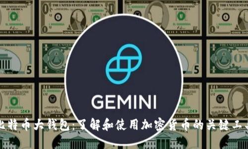 比特币大钱包：了解和使用加密货币的关键工具