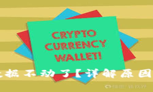 tpWallet数据不动了?详解原因及解决方案