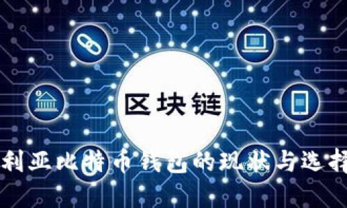 尼日利亚比特币钱包的现状与选择指南