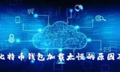 解决比特币钱包加载太慢的原因及方案