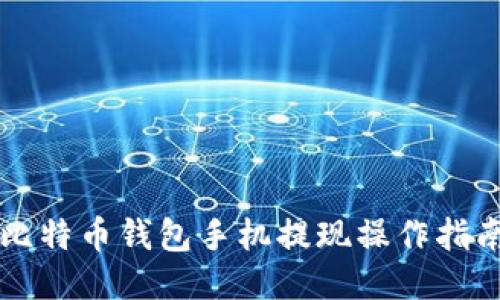 比特币钱包手机提现操作指南