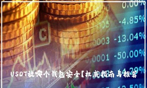 USDT放哪个钱包安全？权威指南与推荐