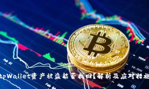 tpWallet资产被盗能否找回？解析及应对措施