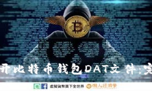 如何打开比特币钱包DAT文件：完全指南
