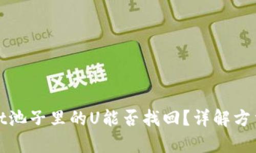 tpWallet池子里的U能否找回？详解方法与方案