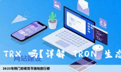 Mask 钱包支持 TRX 吗?详解 TRON 生态及钱包使用指南