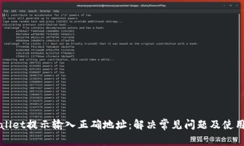 tpWallet提示输入正确地址：解决常见问题及使用指南
