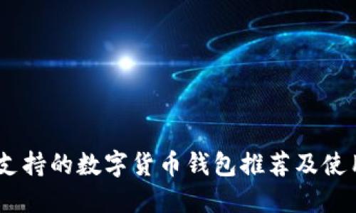 USDT支持的数字货币钱包推荐及使用指南