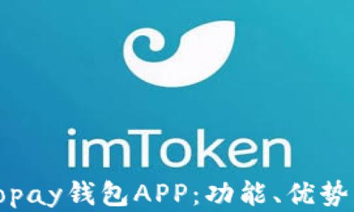 全面解析Topay钱包APP:功能、优势与使用指南