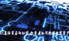 tpWallet暴涨背后的秘密：投资者如何把