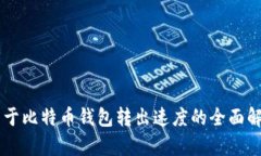 关于比特币钱包转出速度的全面解析