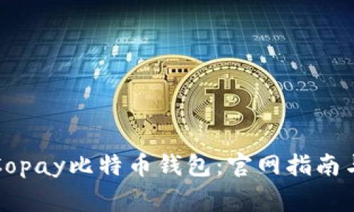 如何安全使用Copay比特币钱包：官网指南与常见问题解答