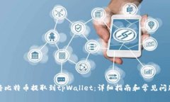 如何将比特币提取到tpWallet：详细指南