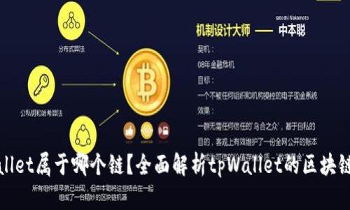 tpWallet属于哪个链？全面解析tpWallet的区块链生态