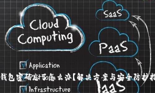 TP钱包密码忘了怎么办？解决方案与安全防护指南