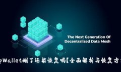 tpWallet删了还能恢复吗？全面解析与恢