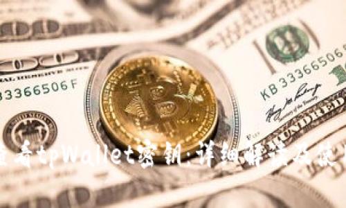 如何查看tpWallet密钥:详细解读及使用技巧