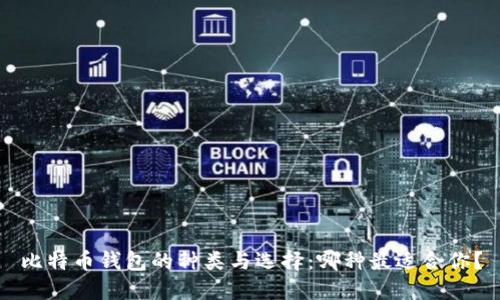 比特币钱包的种类与选择：哪种最适合你？