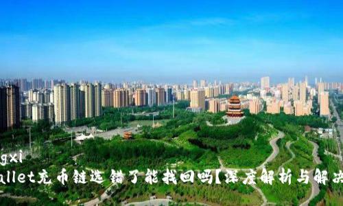 xiangxi
tpWallet充币链选错了能找回吗？深度解析与解决方法