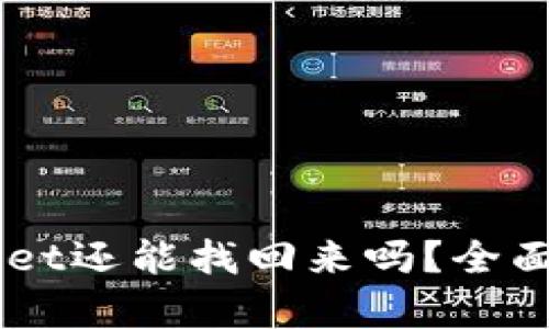 手机掉了tpWallet还能找回来吗？全面解析与解决方案