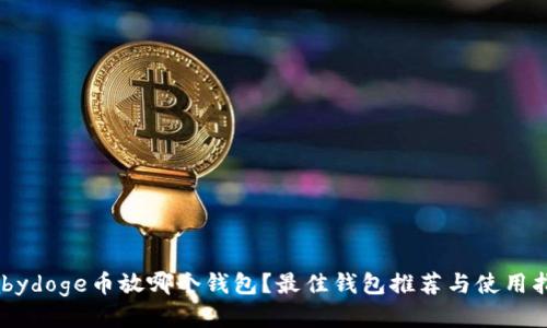 Babydoge币放哪个钱包？最佳钱包推荐与使用指南