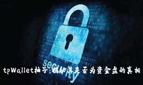 tpWallet柚子：揭秘其是否为资金盘的真相