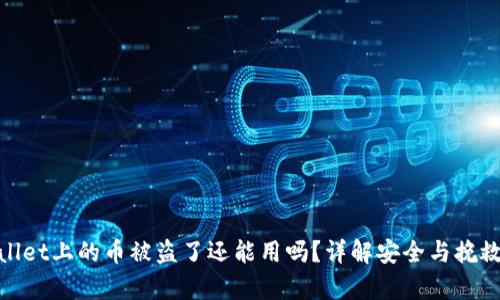 tpWallet上的币被盗了还能用吗？详解安全与挽救措施