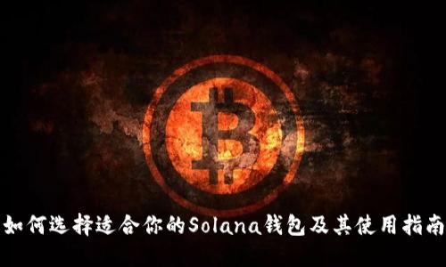 如何选择适合你的Solana钱包及其使用指南