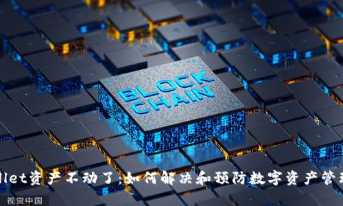 tpWallet资产不动了：如何解决和预防数字资产管理问题