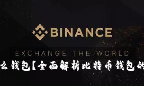 比特币用什么钱包？全面解析比特币钱包的类型与选择