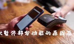 tpWallet暂停部分功能的原因及解决方案
