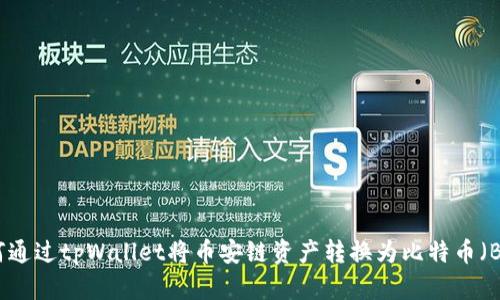 如何通过tpWallet将币安链资产转换为比特币（BTC）