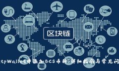 如何在tpWallet中添加BCS币种：详细指南