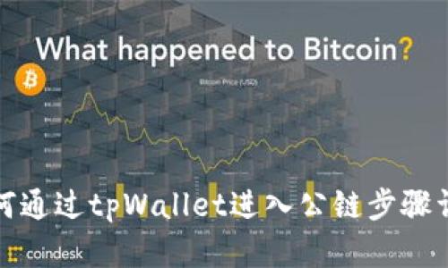 如何通过tpWallet进入公链步骤详解