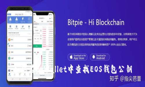 如何在tpWallet中查找EOS钱包公钥
