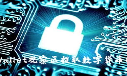 如何从tpWallet观察区提取数字货币的详细指南
