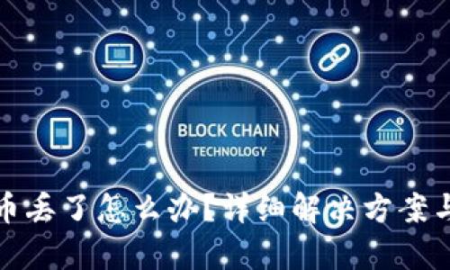 tpWallet币丢了怎么办？详细解决方案与预防措施