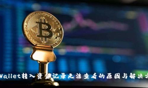 tpWallet转入资金记录无法查看的原因与解决方案