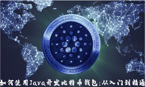 如何使用Java开发比特币钱包:从入门到精通