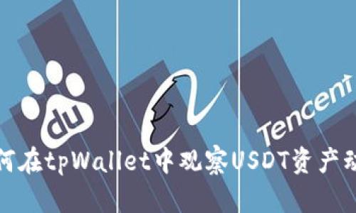 如何在tpWallet中观察USDT资产动态