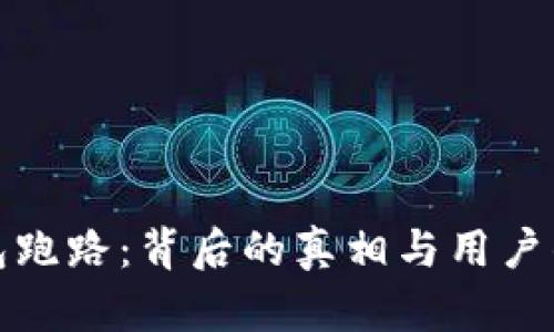 艾达币钱包跑路：背后的真相与用户的保护措施