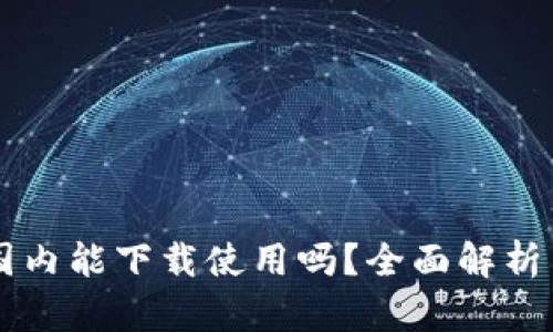 tpWallet国内能下载使用吗？全面解析与使用指南