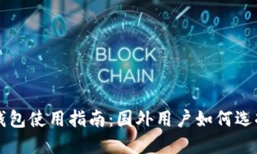 比特币钱包使用指南:国外用户如何选择与使用