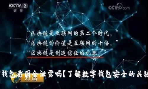 USDT钱包截图会泄露吗？了解数字钱包安全的关键因素