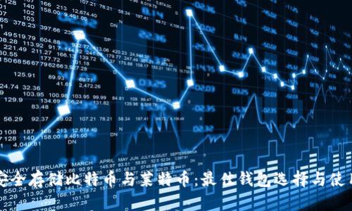 如何安全存储比特币与莱特币：最佳钱包选择与使用指南